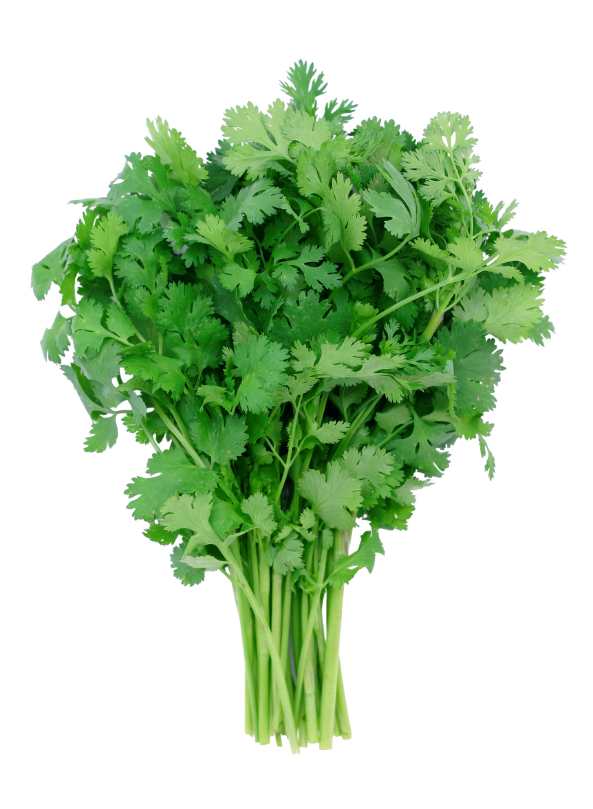 Fresh Cilantro (Bunch)