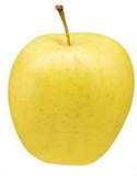 Yellow Golden Apples LB.