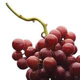 Seedless Red Grapes LB.