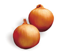 Spanish Onions LB.